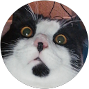 Maron Weidner profile picture